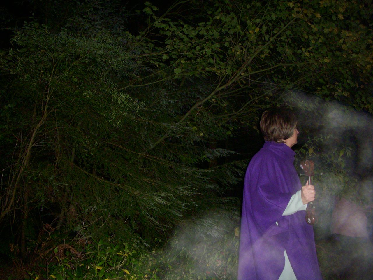 Caryl calling Orbs. This is called "plasmoid".  Looks a lot like ectoplasm doesn't it?
"Plasmoid" only showed up in pictures around me. Oregon, 2008